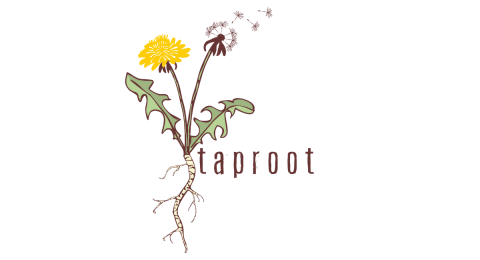 taproot logo