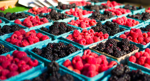 berries