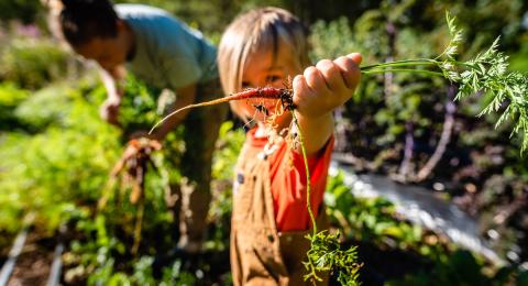 child holding a carrot