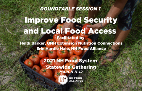 A roundtable discussion about improving food security and local food access.