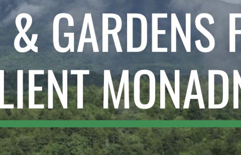 Food and Gardens for a Resilient Monadnock 