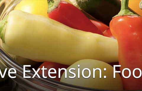 UNH Extension Food Safety Program