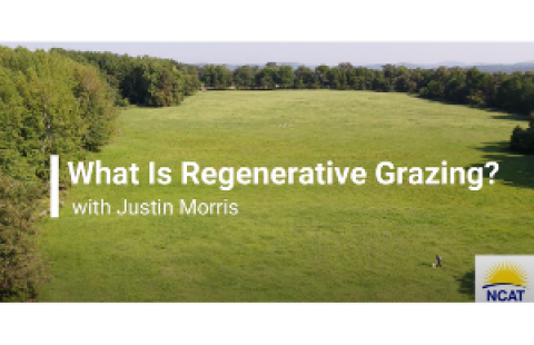 ATTRA video series Regenerative Grazing
