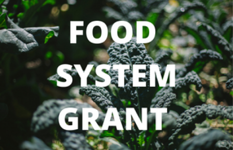food system grant
