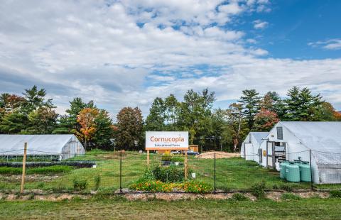 The Cornucopia Project an educational farm in Peterborough, New Hampshire