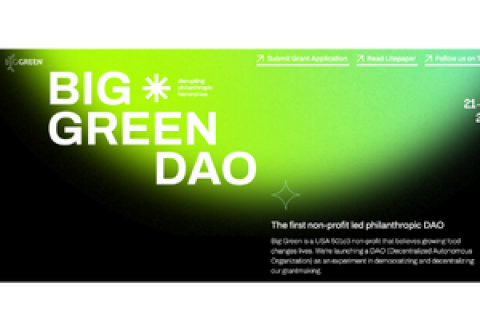 Big Green Dao grants