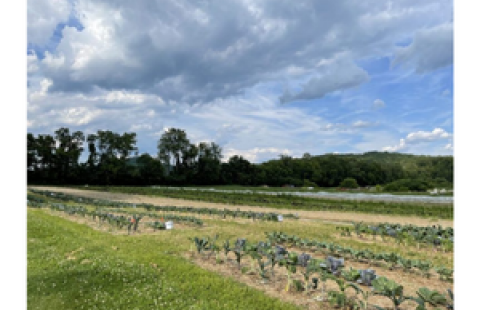 Regenerative agriculture blog post by Vital Communities