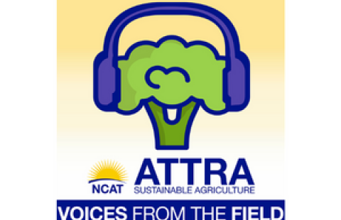 Voices from the Field NCAT
