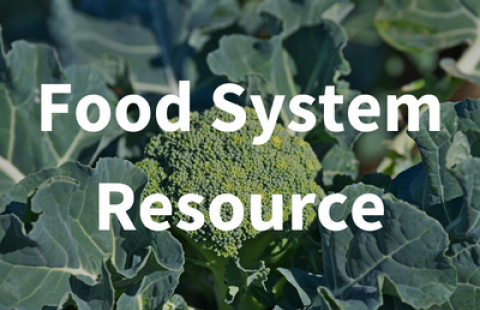 Food system resource text overlaying a photo of broccoli