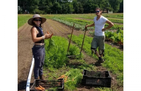 Blackfire Farm in Hancock, New Hampshire.