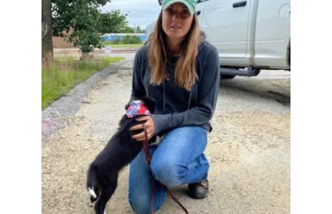 Alanna, one of the owners of Sunnyfields Farm in Peterborough, with her border collie puppy.