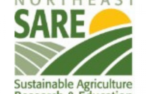 Northeast SARE logo