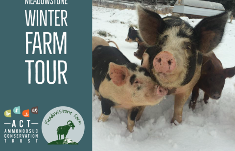 Meadowstone Winter Farm Tour