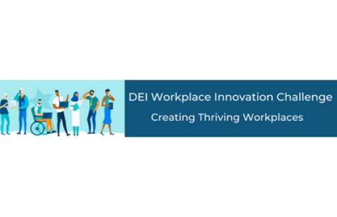 DEI Workplace Innovation Challenge