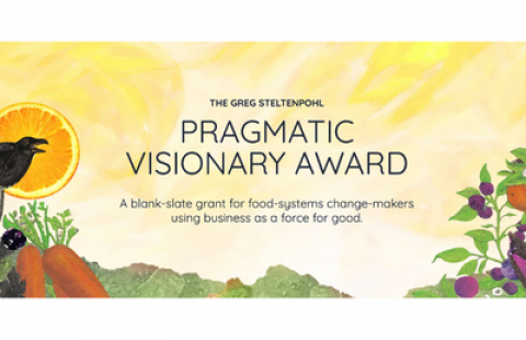Pragmatic Visionary Award
