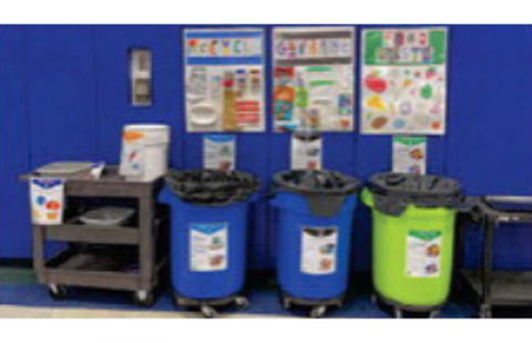 Different Waste Bins 