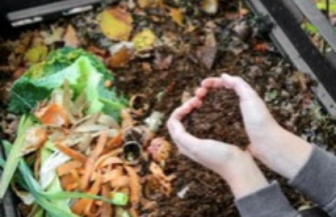 Hands in compost