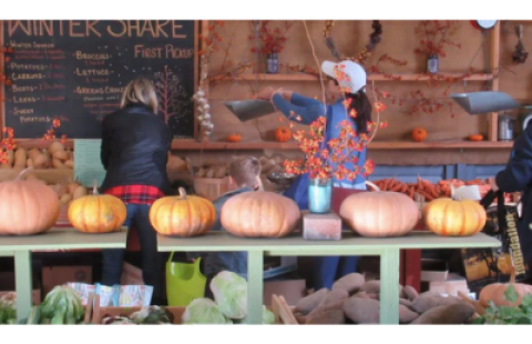farmers market 