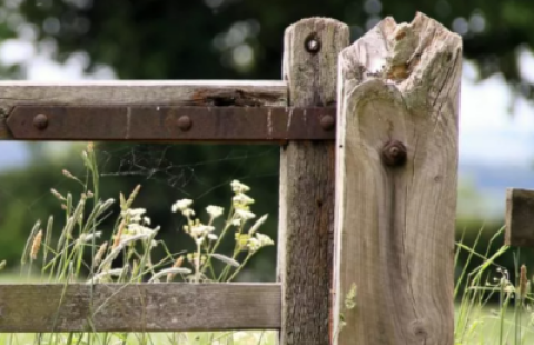 fence