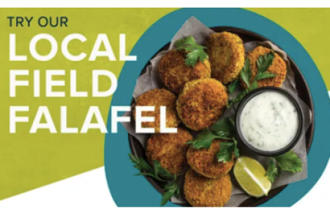 local field falafel