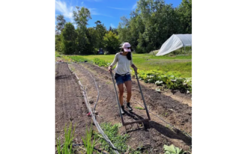 woman gardening