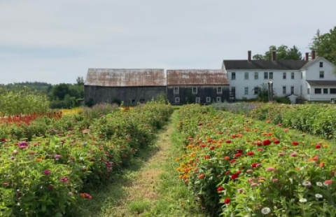 farmland protection