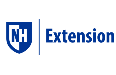 Extension