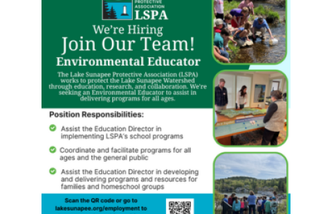 Lake sunapee protective association