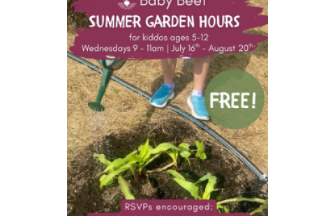 baby beet farm hours at kearsarge food hub