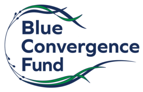 Blue Convergence Fund