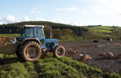 tractor in the field