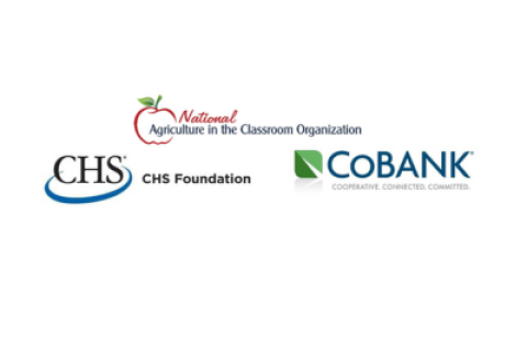 Logos of supporting foundations 