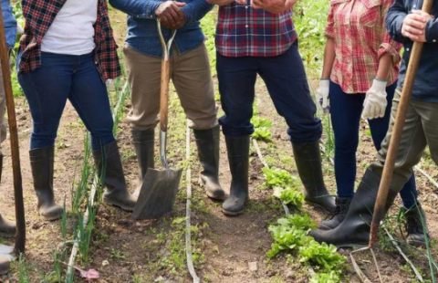 2026 nh food system statewide gathering request for proposals
