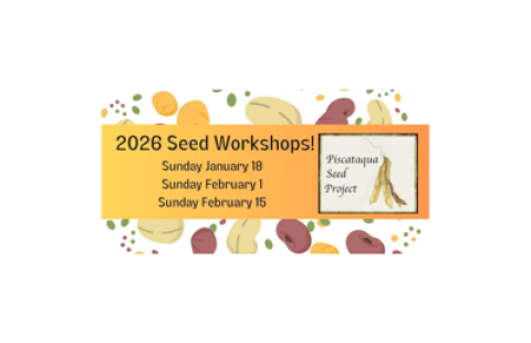 2026 Seed workshops! 