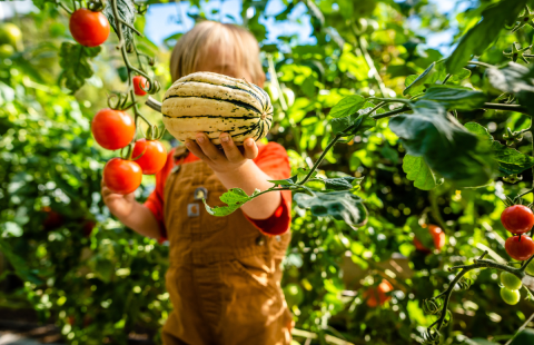 local food access workgroup