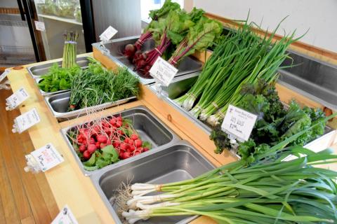 vegetables displayed in the market