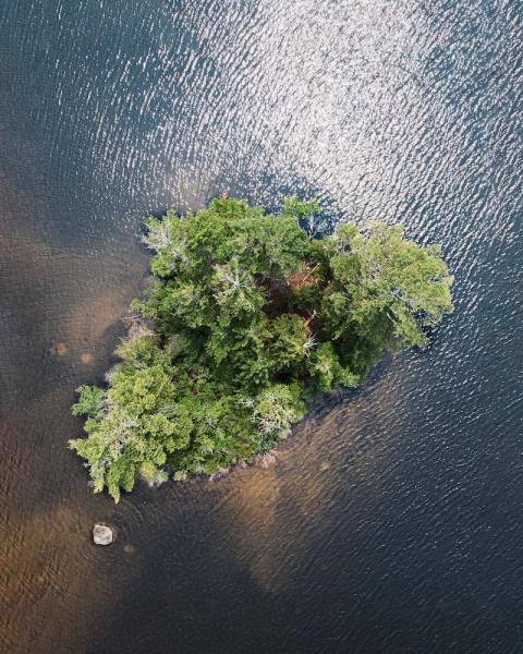A island in a New Hampshire lake.