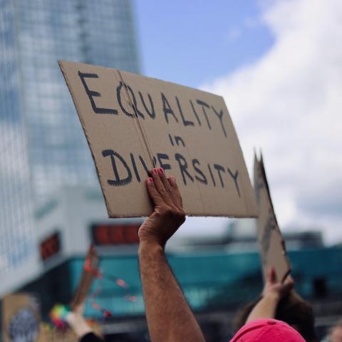 Equality in Diversity poster at a rally
