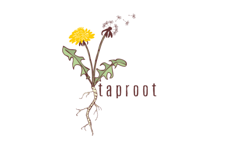 taproot logo