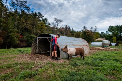 Mark Florenz's son with a pig at Archway Farm in Keene, New Hampshire