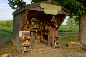 farm stand