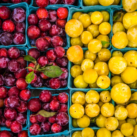 red and yellow plums