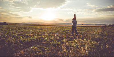 farmer in the field