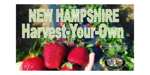 NH Harvest Your Own 