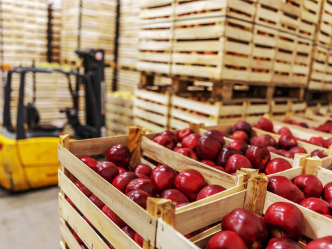 apples in boxes