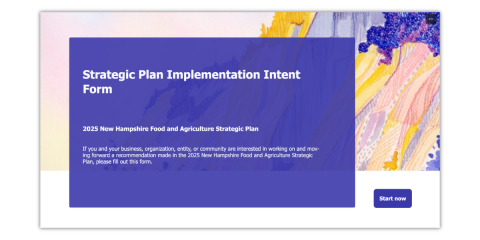 strategic plan implementation intent form