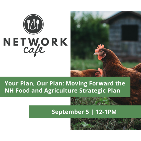 september 5 2025 network cafe