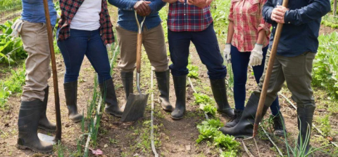 2026 nh food system statewide gathering request for proposals