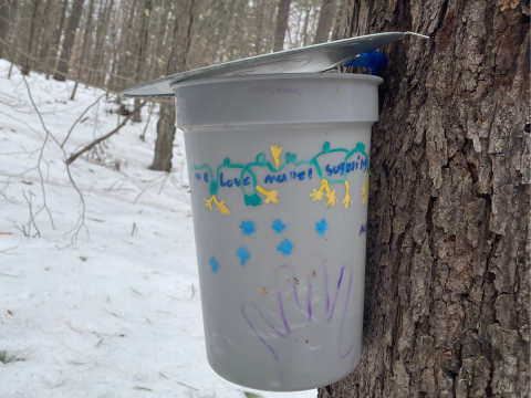 moharimet maple sugaring