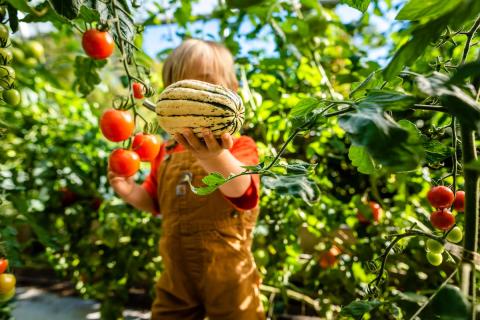 kid holding a delicata squash